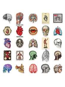 50pcs Retro Scientific Anatomy Stickers Diary Luggage Education Science Creative Decorative Stickers