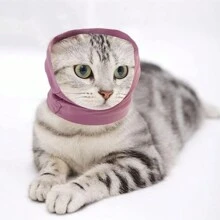 Paraorecchie per toelettatura di cani, che riducono il rumore, ad alta elasticità, morbidi, caldi, per alleviare lo stress, accessorio per cani che copre orecchie e testa, resistente al vento, con cancellazione del rumore, fascia calda per cani
