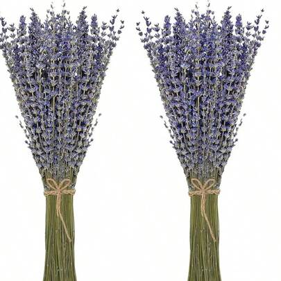 50-200枝天然干薰衣草花束，适合家居装饰
