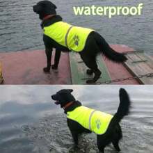 Áo phản quang cho chó ban đêm dành cho các hoạt động ngoài trời, quần áo chống thấm nước cho những ngày mưa Áo phản quang chống thấm nước có thể điều chỉnh cho chó Áo khoác cho chó huỳnh quang chống thấm nước có độ hiển thị cao giúp bảo vệ chó con của bạn khi hoạt động ngoài trời - Nhiều màu - Xem 4