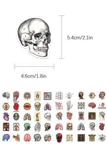 50pcs Retro Scientific Anatomy Stickers Diary Luggage Education Science Creative Decorative Stickers