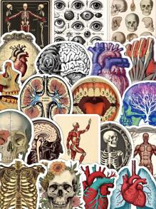 50pcs Retro Scientific Anatomy Stickers Diary Luggage Education Science Creative Decorative Stickers