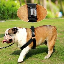 Personalized Engraved Pet Dog Tag - Quiet Slide Style ID Tag, Suitable For Small, Medium, Large Dogs And Cats - Customized Name Tag - Perfect Gift For Pet Lovers Ornamental Stylish,Fashion,Colorful,Vintage,Cute,Contracted,Cuties Custom,Unique,Customized,Personalized Pet For Anniversaries,For Birthdays,Customized Pet Collars, Leashes & Harnesses,Easy Comfort