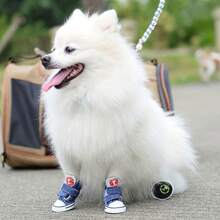 Pet Shoes Set Of 2 Pairs Stylish Contrast Color Non-Slip Soft Sole Breathable Dog Shoes For All Seasons