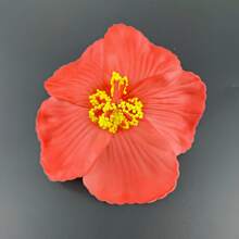 2pcs Flower Decor Hair Clip For Daily Use For Girls Hairstyles Casual Boho - Orange & White - View 8