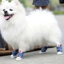 Pet Shoes Set Of 2 Pairs Stylish Contrast Color Non-Slip Soft Sole Breathable Dog Shoes For All Seasons
