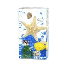 1 Pc Oversized 7.3cm Large Marine Ocean Creature Resin Specimen, Includes Fish, Turtle, Crab And Other Land/Air Insects, Transparent Preserved Collectible Display Model, Minimalist Home Decor - Multicolor - View 12