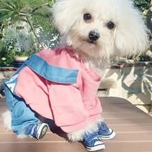 Pet Shoes Set Of 2 Pairs Stylish Contrast Color Non-Slip Soft Sole Breathable Dog Shoes For All Seasons