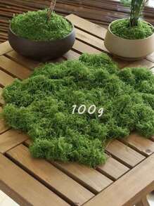 200g 人造苔藓装饰 - 逼真的绿色植物 - 300g 包装 - 非常适合微景观、窗户装饰和设计布局，人造苔藓仿生人造苔藓，绿色苔藓微景观装饰，DIY 绿色植物用于草坪盆栽植物铺路景观装饰，户外花园庭院装饰