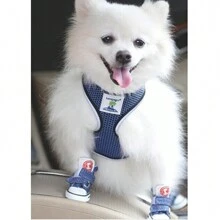 Pet Shoes Set Of 2 Pairs Stylish Contrast Color Non-Slip Soft Sole Breathable Dog Shoes For All Seasons