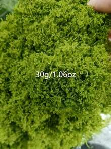 200g 人造苔藓装饰 - 逼真的绿色植物 - 300g 包装 - 非常适合微景观、窗户装饰和设计布局，人造苔藓仿生人造苔藓，绿色苔藓微景观装饰，DIY 绿色植物用于草坪盆栽植物铺路景观装饰，户外花园庭院装饰