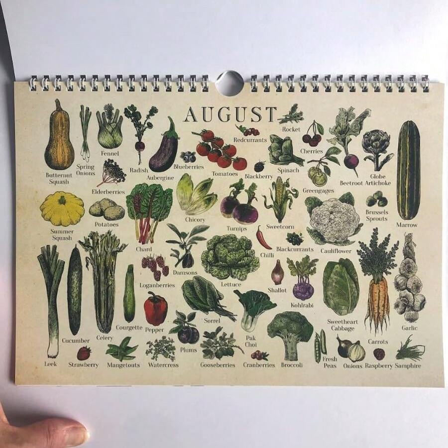 Calendario 2025 De Productos De Temporada, Calendario De Frutas Y
