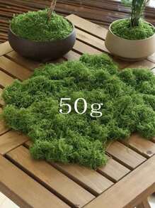 200g 人造苔藓装饰 - 逼真的绿色植物 - 300g 包装 - 非常适合微景观、窗户装饰和设计布局，人造苔藓仿生人造苔藓，绿色苔藓微景观装饰，DIY 绿色植物用于草坪盆栽植物铺路景观装饰，户外花园庭院装饰