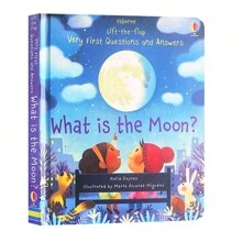 Lachilly Usborne 翻翻书：初级问答科学普及认知绘本（翻翻书：初级问答）