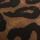estampado de leopardo