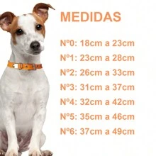 Synthetic Leather Dog Collar For Large And Small Dogs - Orange - View 5