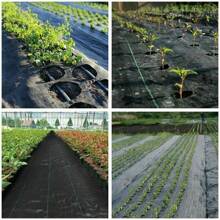 2m X 25m  Heavy Duty Grass Control Fabric Ground Cover Membrane Garden Mat Landscape - màu đen - Xem 6