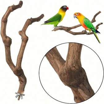 Support d'attraction d'oiseaux de printemps, perchoir en bois naturel pour perroquet, support en bois pour oiseaux, poteau, griffe, fourchette à mâcher, jouet d'escalade et de branche d'arbre pour perruche, accessoires de cage à mâcher