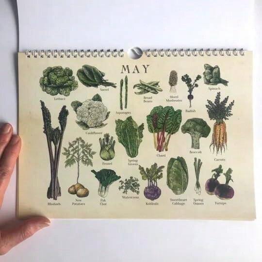 Calendario 2025 De Productos De Temporada, Calendario De Frutas Y