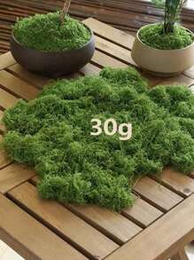 200g 人造苔藓装饰 - 逼真的绿色植物 - 300g 包装 - 非常适合微景观、窗户装饰和设计布局，人造苔藓仿生人造苔藓，绿色苔藓微景观装饰，DIY 绿色植物用于草坪盆栽植物铺路景观装饰，户外花园庭院装饰