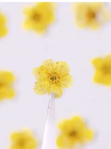Mini Box Of Narcissus Flowers, Natural Dried Flowers, Preserved Flower Slices, For Decoration, Photography, And Candles. - Yellow - View 2