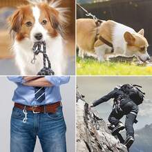Double Ended Bolt Snap Hooks Heavy Duty Chain Marine Grade Metal Clips Farm Use Bucket Dog Leash Horse Tack - 1 - View 5