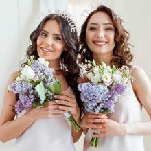 1/3/5 件水晶钻头带、新娘团队头带、新娘团队头带、单身派对新娘送礼会装饰、婚礼伴娘头带、婚礼装饰