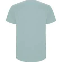 Roly Childrens/Kids Stafford ShortSleeved TShirt (Washed Blue) - 190gsm 100% Cotton