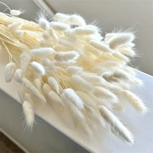 60/120 piezas de Rabo de Conejo Blanco de 17" - Paquetes de Hierba Lagoulus para Decoración Bohemia del Hogar, Cocina y Boda | Perfecto para Navidad, Pascua, Día de San Valentín, Acción de Gracias y Regalos de Graduación, Decoración de Otoño