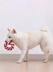 5 件耐咬狗咀嚼玩具，用于清洁牙齿和缓解焦虑的绳球 - 互动牙科绳结，适合小型/中型犬的训练玩具，小狗咀嚼礼物（宠物咀嚼棒，宠物牙齿健康） - 彩色 - 查看 4