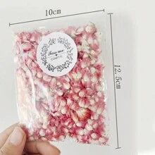 5 件/包永生花瓣，粉色，适合室内装饰、婚礼、DIY 手工皂 - 紅巧梅花沐(1件) - 查看 4