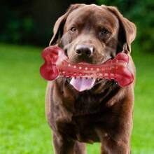 1pc Pet Toy Rubber Chew Toothbrush Resistant Dog Teething Stick Simulated Dog Bone Toy - Multicolor - View 7