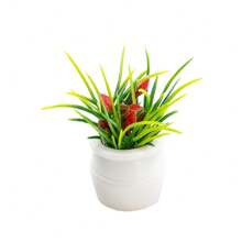 Maceta miniatura y micro modelo de plantas y flores para decoración del hogar, materiales para hacer maquetas, diseños para regalos de festivales - Como foto - Ver 4
