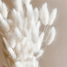 60/120 piezas de Rabo de Conejo Blanco de 17" - Paquetes de Hierba Lagoulus para Decoración Bohemia del Hogar, Cocina y Boda | Perfecto para Navidad, Pascua, Día de San Valentín, Acción de Gracias y Regalos de Graduación, Decoración de Otoño