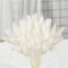 60/120 piezas de Rabo de Conejo Blanco de 17" - Paquetes de Hierba Lagoulus para Decoración Bohemia del Hogar, Cocina y Boda | Perfecto para Navidad, Pascua, Día de San Valentín, Acción de Gracias y Regalos de Graduación, Decoración de Otoño