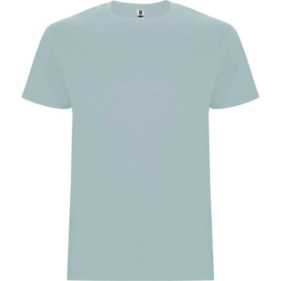 Roly Childrens/Kids Stafford ShortSleeved TShirt (Washed Blue) - 190gsm 100% Cotton