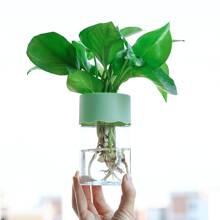 1pc Transparent Hydroponic Flower Pots Resembling Glass Small Flower Pots, Soilless Planting Small Pots, Green Plants, Resin Window Sills, Flower Pots, Garden Tool