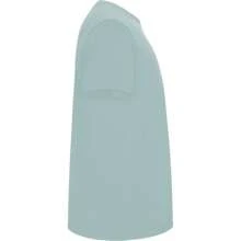 Roly Childrens/Kids Stafford ShortSleeved TShirt (Washed Blue) - 190gsm 100% Cotton