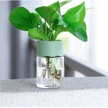 1pc Transparent Hydroponic Flower Pots Resembling Glass Small Flower Pots, Soilless Planting Small Pots, Green Plants, Resin Window Sills, Flower Pots, Garden Tool