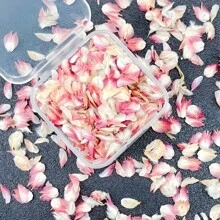 5 件/包永生花瓣，粉色，适合室内装饰、婚礼、DIY 手工皂 - 紅巧梅花沐(1件) - 查看 1