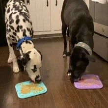 1 件装带吸盘的宠物舔垫，狗和猫舔垫，花生酱舔垫，可减少无聊时间，宠物沐浴舔垫