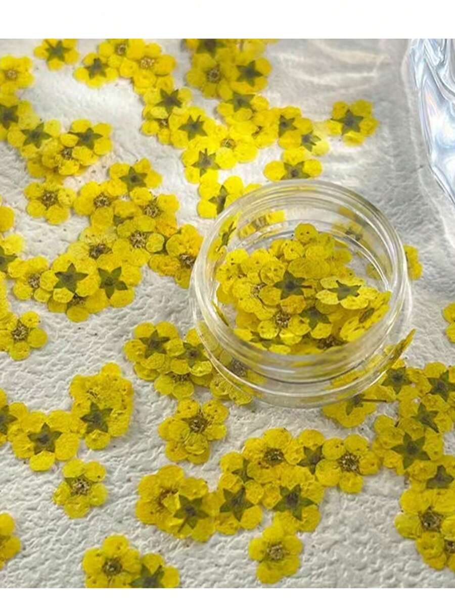 Mini Box Of Narcissus Flowers, Natural Dried Flowers, Preserved Flower Slices, For Decoration, Photography, And Candles. - Yellow - View 1