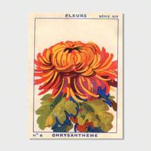 1pc Retro Chrysanthemum Poster, Decorative Arts, Retro Printing, Colorful Murals, Mural Printing, Decoration, Retro Poster, Retro Poster, Frameless - Nhiều màu - Xem 15