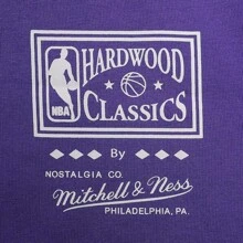 Mitchell & Ness 2024 Mitchell & Ness Lifestyle Short Sleeve Knit Tee, MNTS24-11-LAL-PURPLE