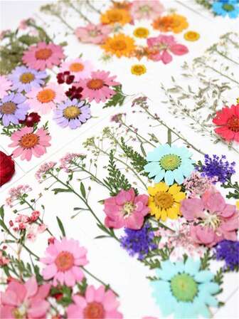 一包正品干花，适用于环氧树脂模具、纸艺、相框、美甲、蜡烛制作、DIY贴纸、相框、新手手工、感恩节、情人节礼物，送给朋友的理想之选。