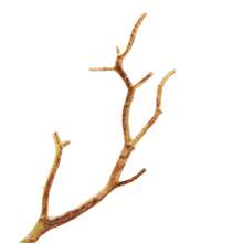Womens Deer Horn Hair Hoop Girls Halloween Long Antlers Headband Realistic Tree Branches Headdress For Cosplay