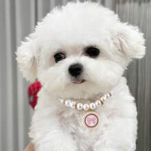 1 Piece Cute Pet Pearl Collar Dog Princess Bow Necklace Cat Jewelry Collar Puppy Accessories Dog Chain Chihuahua Wedding Jewelry Stuff - Multicolor - View 10
