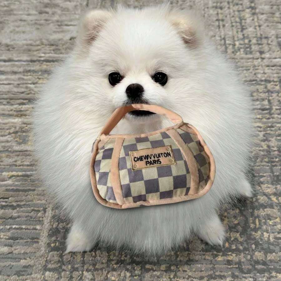 1 件格子图案宠物毛绒玩具，带手提袋，咀嚼玩具带声音效果，宠物的好伴侣 - 彩色 - 查看 1