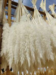 50pcs Simulation Reed Rabbit Tail Flower Cattail Dried Artificial Flower Plant Decoration Garden Living Room,Home Decoration, Room Decoration, Bedroom Decoration, Party Decoration, Wedding Deco