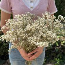 100g Natural Gypsophila Bouquet - Bohemian Style Gypsophila Flowers, Suitable For Home Decor, Christmas, Thanksgiving, Valentine's Day, Graduation Ceremony Table Centerpiece Gifts Birthday
